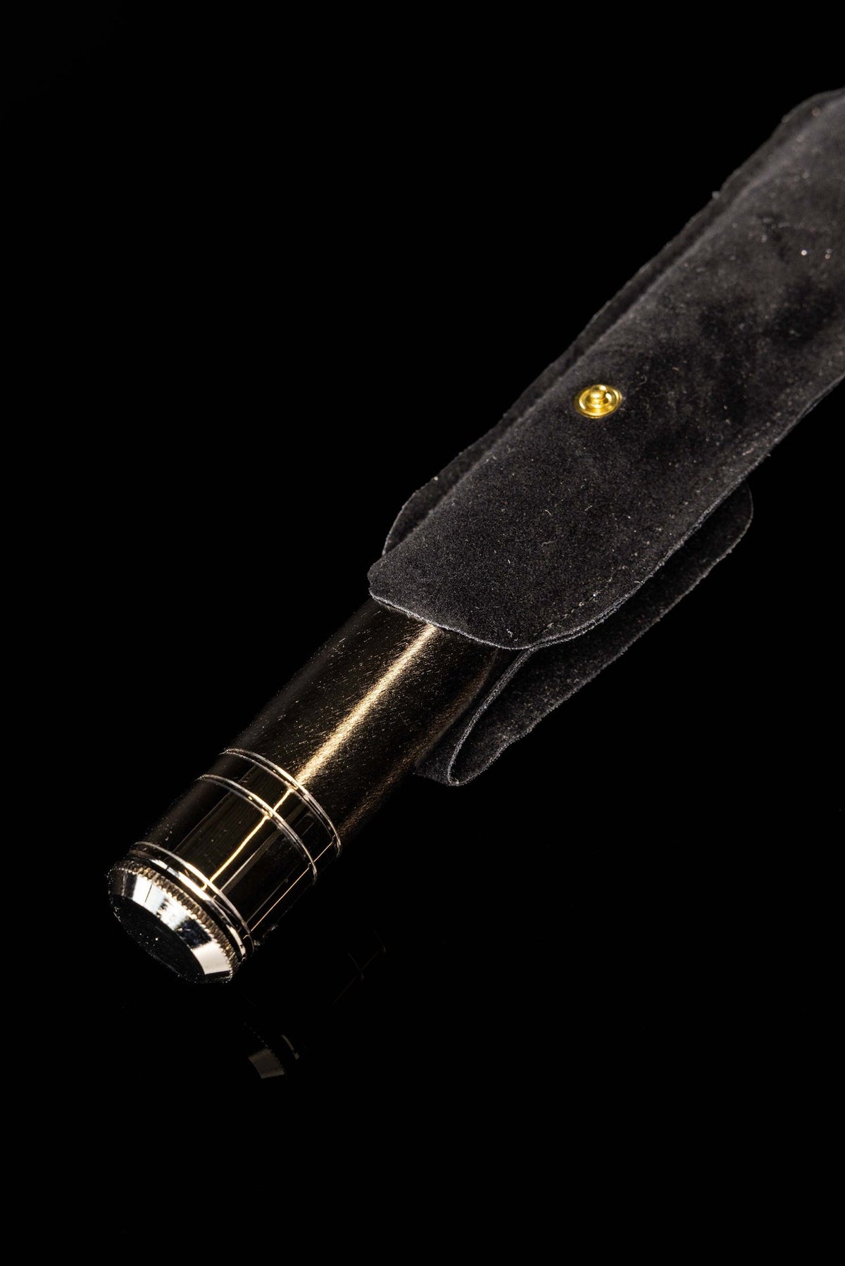 Metal Aspergillum with Case, 6.75 in (17 cm)