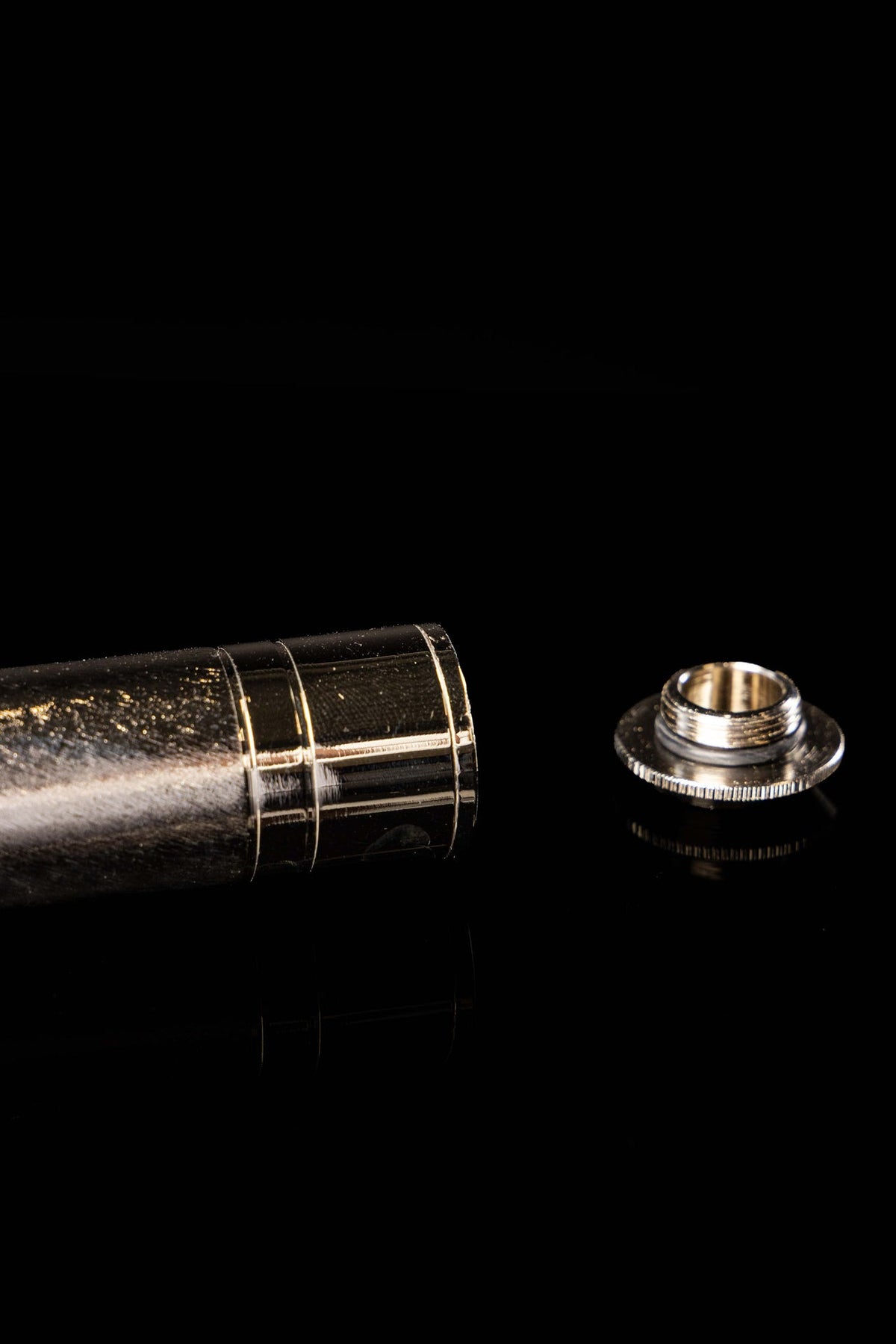 Large Metal Aspergillum, 6 in (15 cm)
