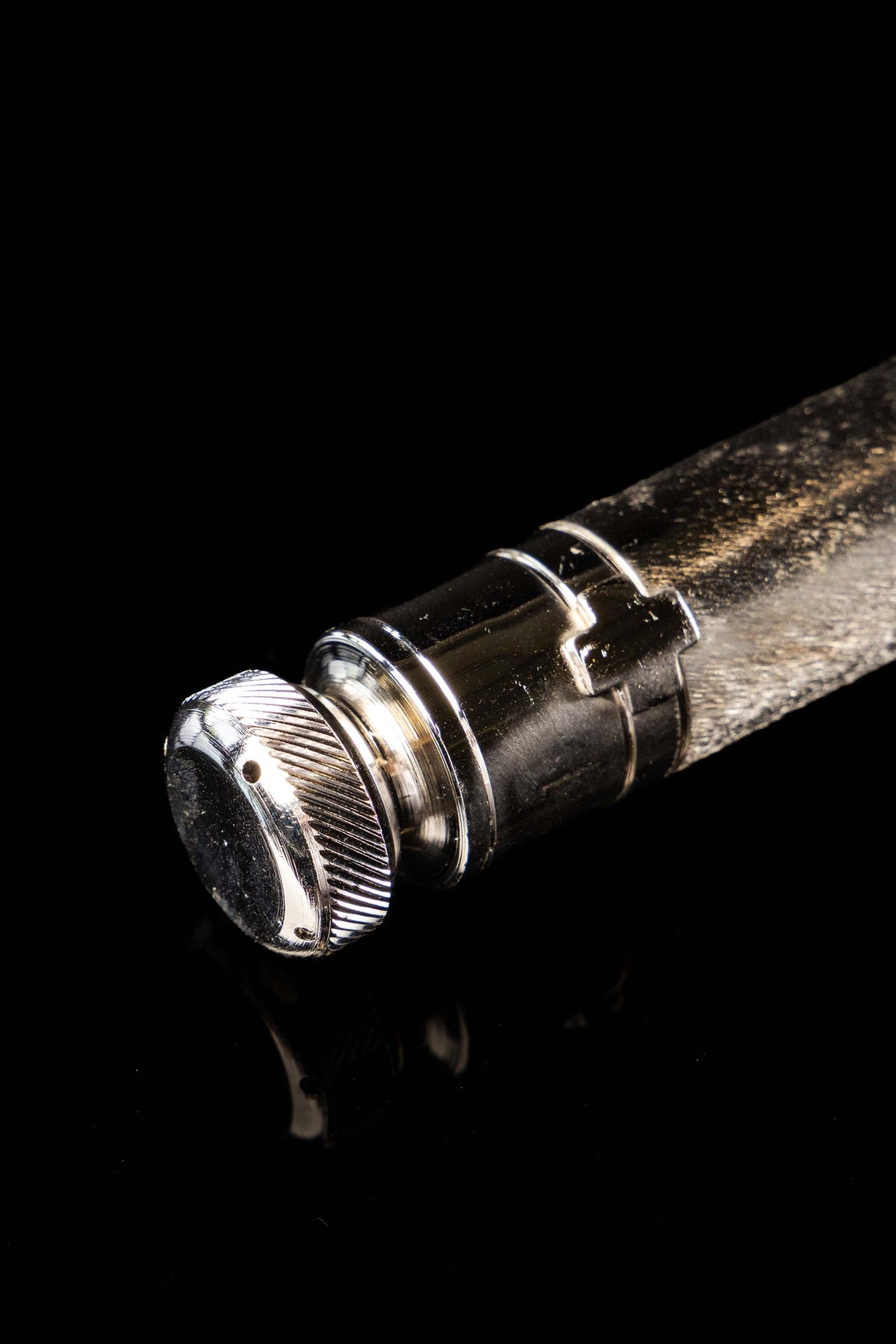 Metal Aspergillum with Case, 6.75 in (17 cm)